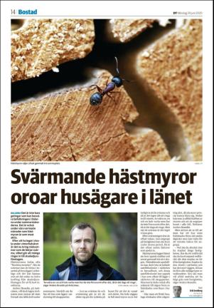 nyaludvikatidning_seksjon-20200629_000_00_00_014.pdf