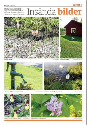 nyaludvikatidning_seksjon-20200714_000_00_00_005.pdf