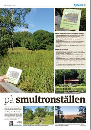 nyaludvikatidning_seksjon-20200714_000_00_00_013.pdf