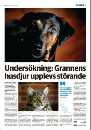 nyaludvikatidning_seksjon-20200803_000_00_00_007.pdf