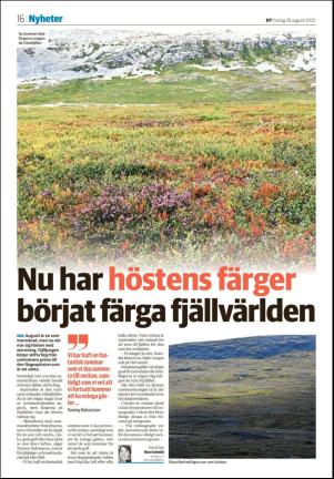 nyaludvikatidning_seksjon-20200828_000_00_00_016.pdf