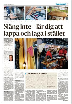 nyaludvikatidning_seksjon-20201015_000_00_00_003.pdf