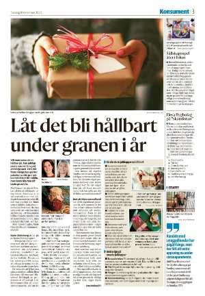 nyaludvikatidning_seksjon-20201210_000_00_00_003.pdf