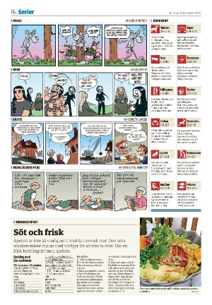 nyaludvikatidning_seksjon-20201210_000_00_00_016.pdf