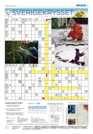 nyaludvikatidning_seksjon-20210116_000_00_00_003.pdf