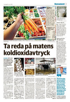 nyaludvikatidning_seksjon-20210121_000_00_00_003.pdf