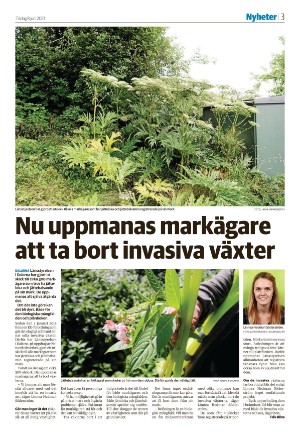 nyaludvikatidning_seksjon-20210608_000_00_00_003.pdf