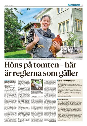 nyaludvikatidning_seksjon-20210701_000_00_00_003.pdf