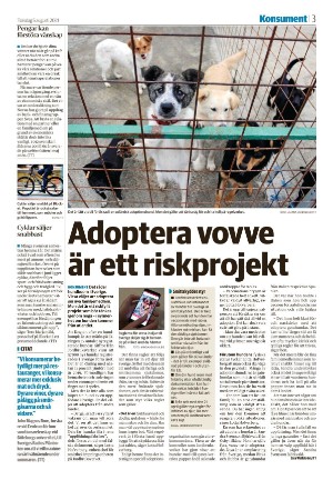 nyaludvikatidning_seksjon-20210805_000_00_00_003.pdf