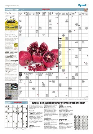 nyaludvikatidning_seksjon-20211230_000_00_00_003.pdf