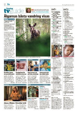 nyaludvikatidning_seksjon-20221124_000_00_00_012.pdf