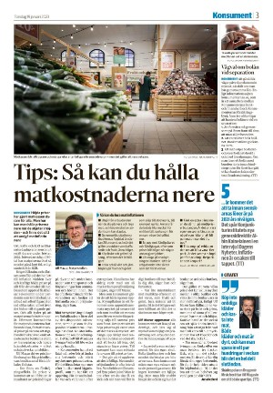 nyaludvikatidning_seksjon-20230119_000_00_00_003.pdf