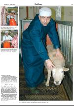 opdalingen-20050127_000_00_00_011.pdf