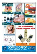 opdalingen-20050304_000_00_00_007.pdf