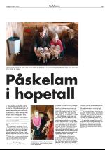 opdalingen-20050401_000_00_00_015.pdf