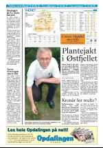 opdalingen-20050721_000_00_00_019.pdf