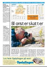 opdalingen-20050726_000_00_00_019.pdf