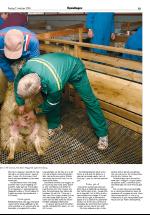 opdalingen-20051007_000_00_00_015.pdf
