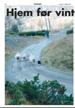 opdalingen-20051021_000_00_00_014.pdf