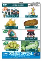 opdalingen-20051216_000_00_00_006.pdf