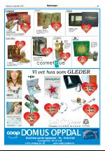 opdalingen-20051216_000_00_00_009.pdf