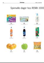 opdalingen-20060103_000_00_00_012.pdf