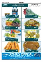 opdalingen-20060113_000_00_00_005.pdf