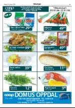 opdalingen-20060120_000_00_00_005.pdf