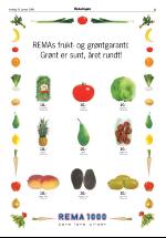 opdalingen-20060124_000_00_00_005.pdf