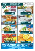 opdalingen-20060127_000_00_00_005.pdf