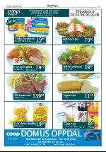 opdalingen-20060203_000_00_00_005.pdf