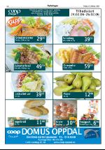 opdalingen-20060224_000_00_00_016.pdf