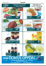 opdalingen-20060303_000_00_00_005.pdf