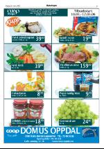 opdalingen-20060310_000_00_00_005.pdf