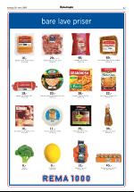 opdalingen-20060316_000_00_00_016.pdf