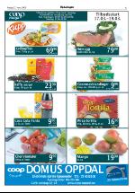 opdalingen-20060317_000_00_00_005.pdf