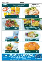 opdalingen-20060331_000_00_00_005.pdf