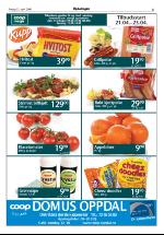 opdalingen-20060421_000_00_00_005.pdf