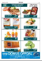 opdalingen-20060526_000_00_00_005.pdf