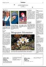 opdalingen-20060530_000_00_00_003.pdf