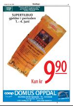 opdalingen-20060530_000_00_00_005.pdf