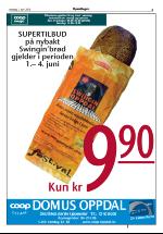 opdalingen-20060601_000_00_00_005.pdf