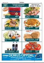 opdalingen-20060609_000_00_00_005.pdf