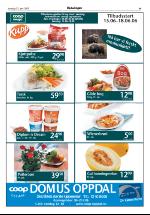 opdalingen-20060615_000_00_00_009.pdf