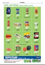 opdalingen-20060620_000_00_00_009.pdf