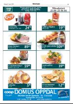 opdalingen-20060623_000_00_00_005.pdf