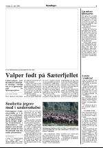 opdalingen-20060627_000_00_00_007.pdf