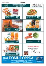 opdalingen-20060630_000_00_00_005.pdf