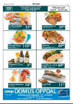 opdalingen-20060714_000_00_00_007.pdf