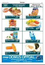 opdalingen-20060728_000_00_00_005.pdf